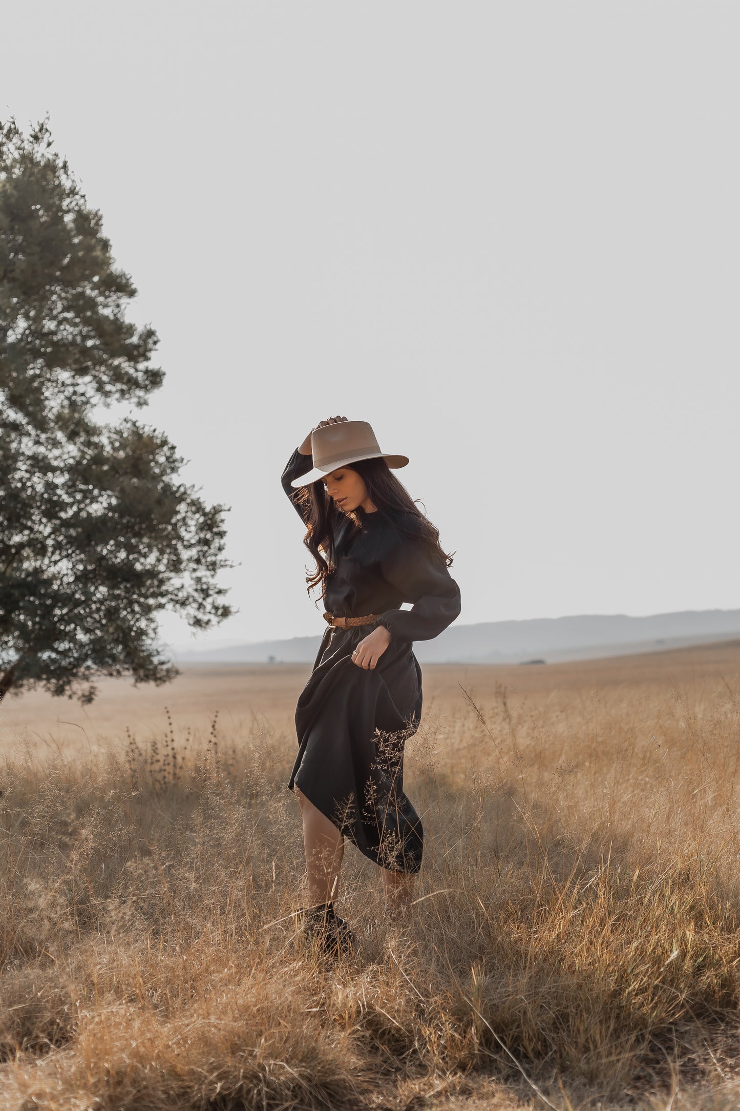 Explorer Dress